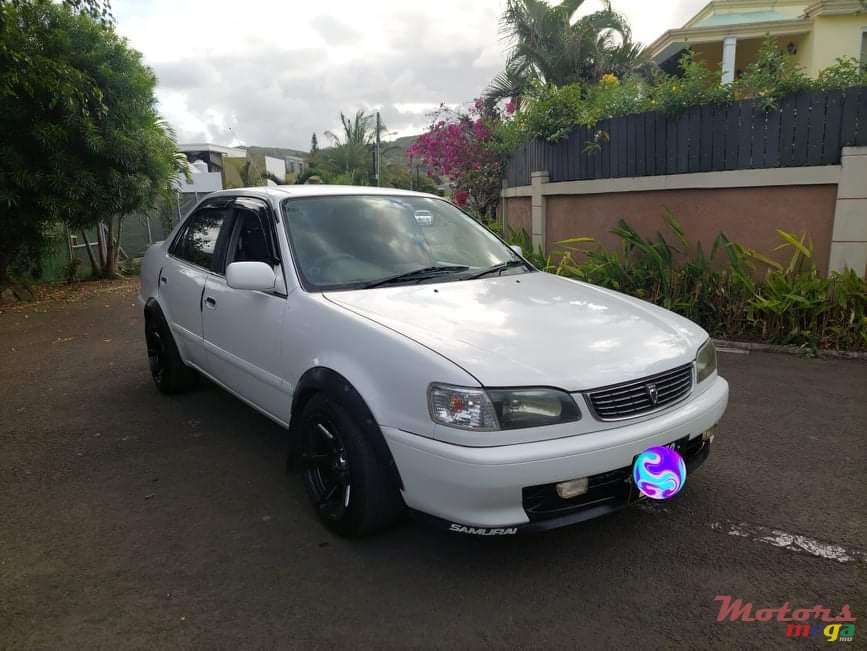 1998' Toyota Corolla photo #1