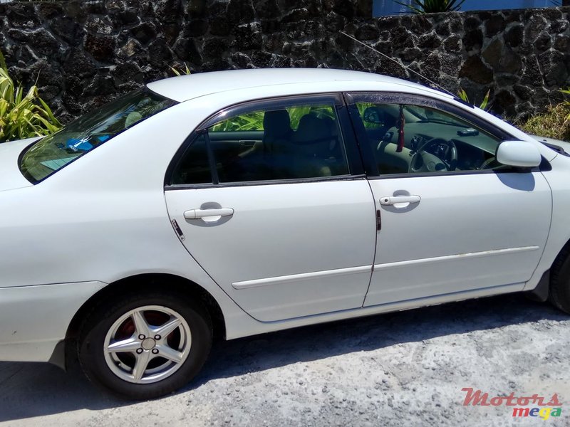 2002' Toyota Corolla photo #1