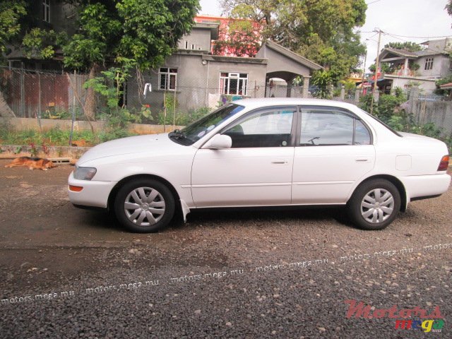 1991' Toyota Corolla EE101 photo #1