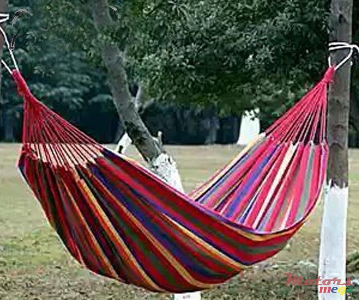 2015' Menorquin photo #1