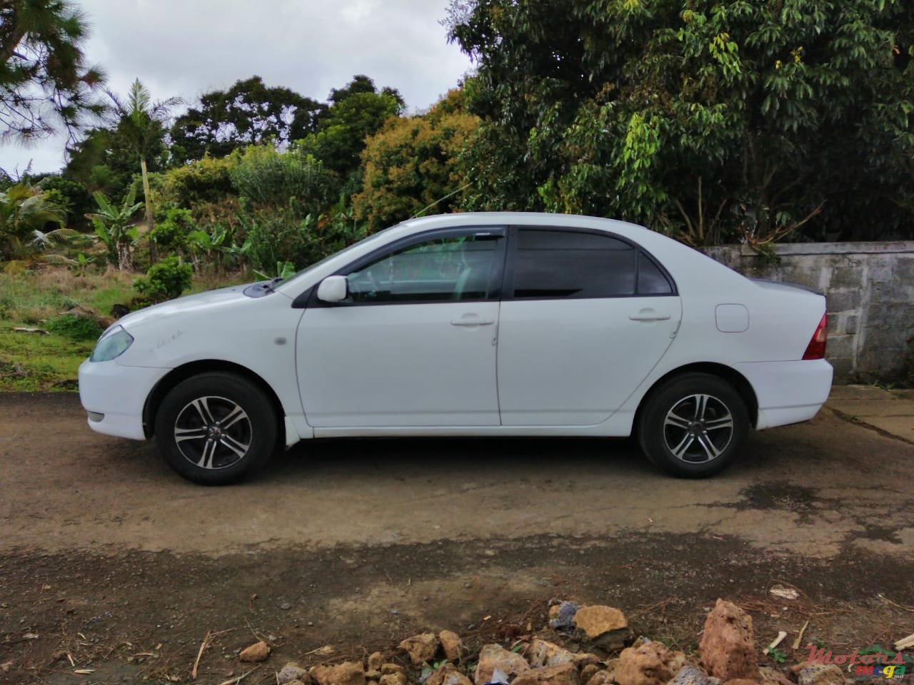 2001' Toyota Corolla photo #5