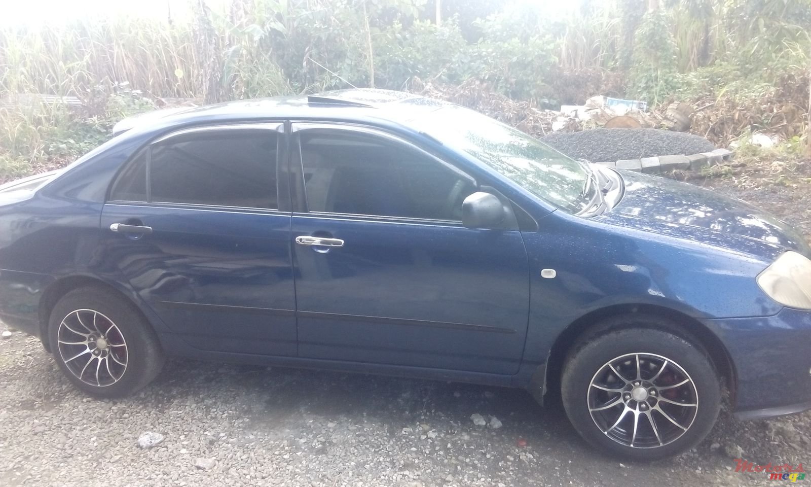 2003' Toyota Corona photo #1