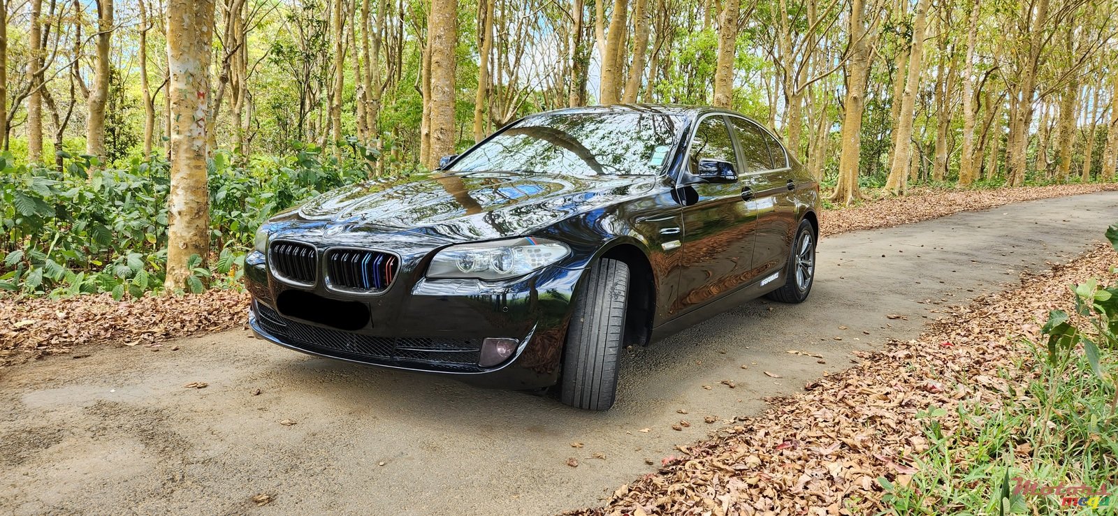 2010' BMW 5 Series photo #2