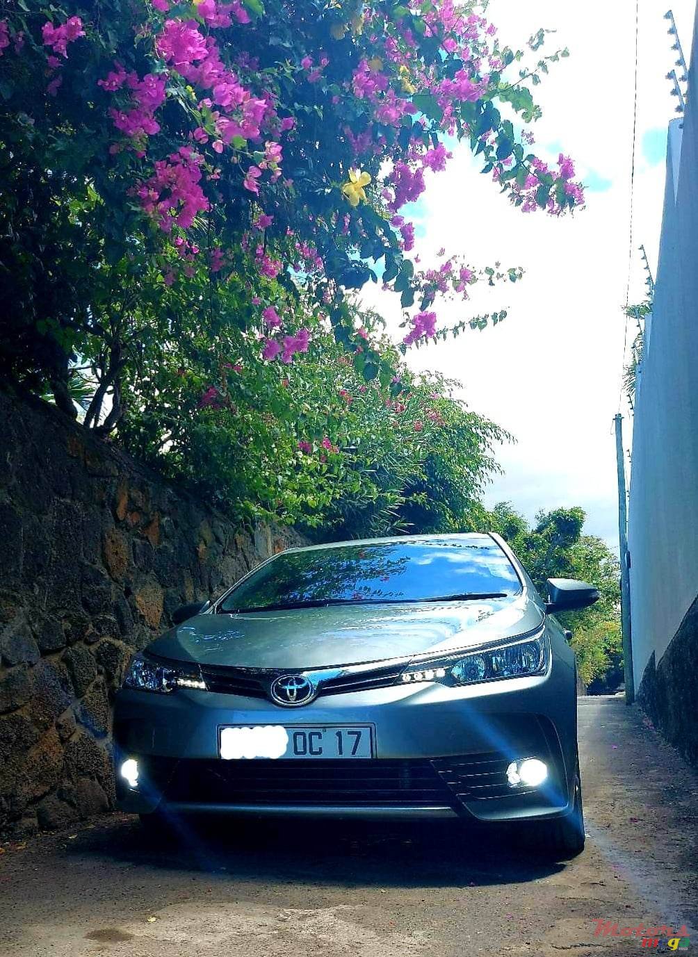 2017' Toyota Corolla photo #1