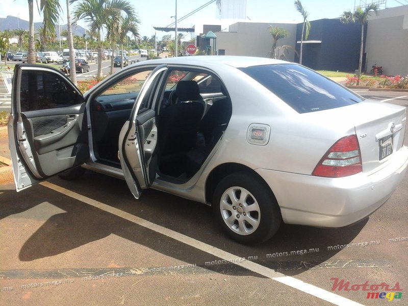 2003' Toyota Corolla photo #3