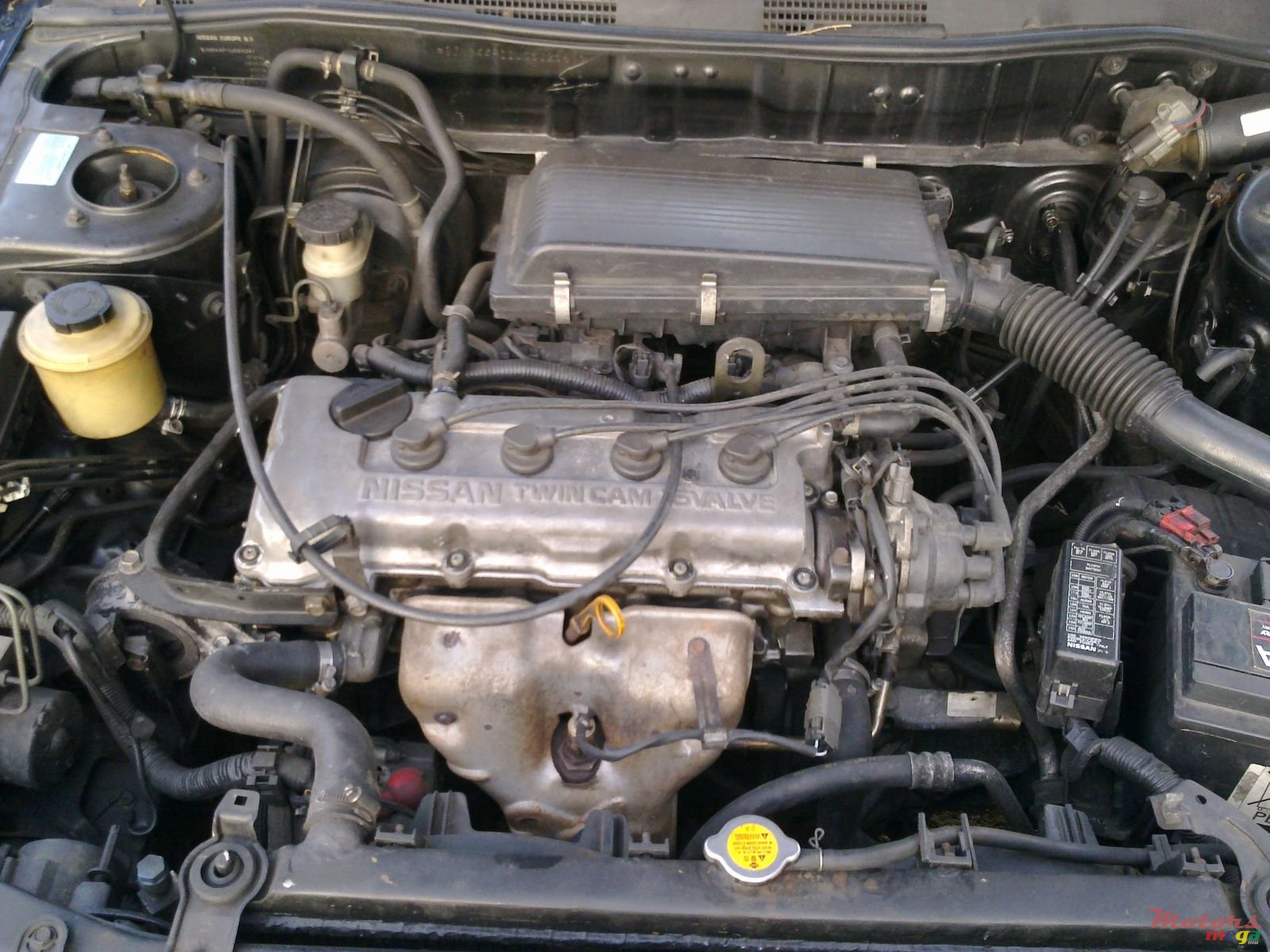 2000' Nissan Primera photo #3