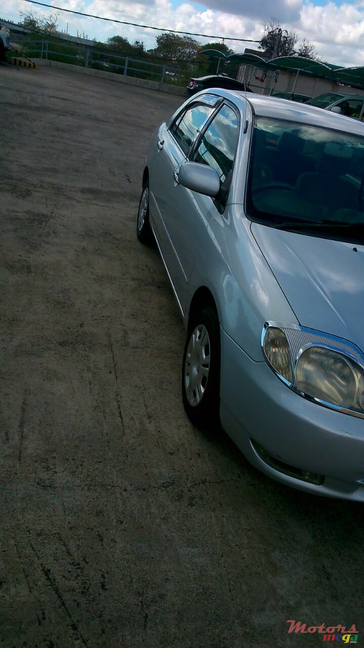 2000' Nissan photo #5