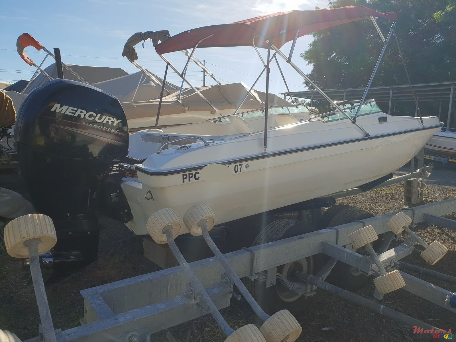 2005' Cobra photo #7