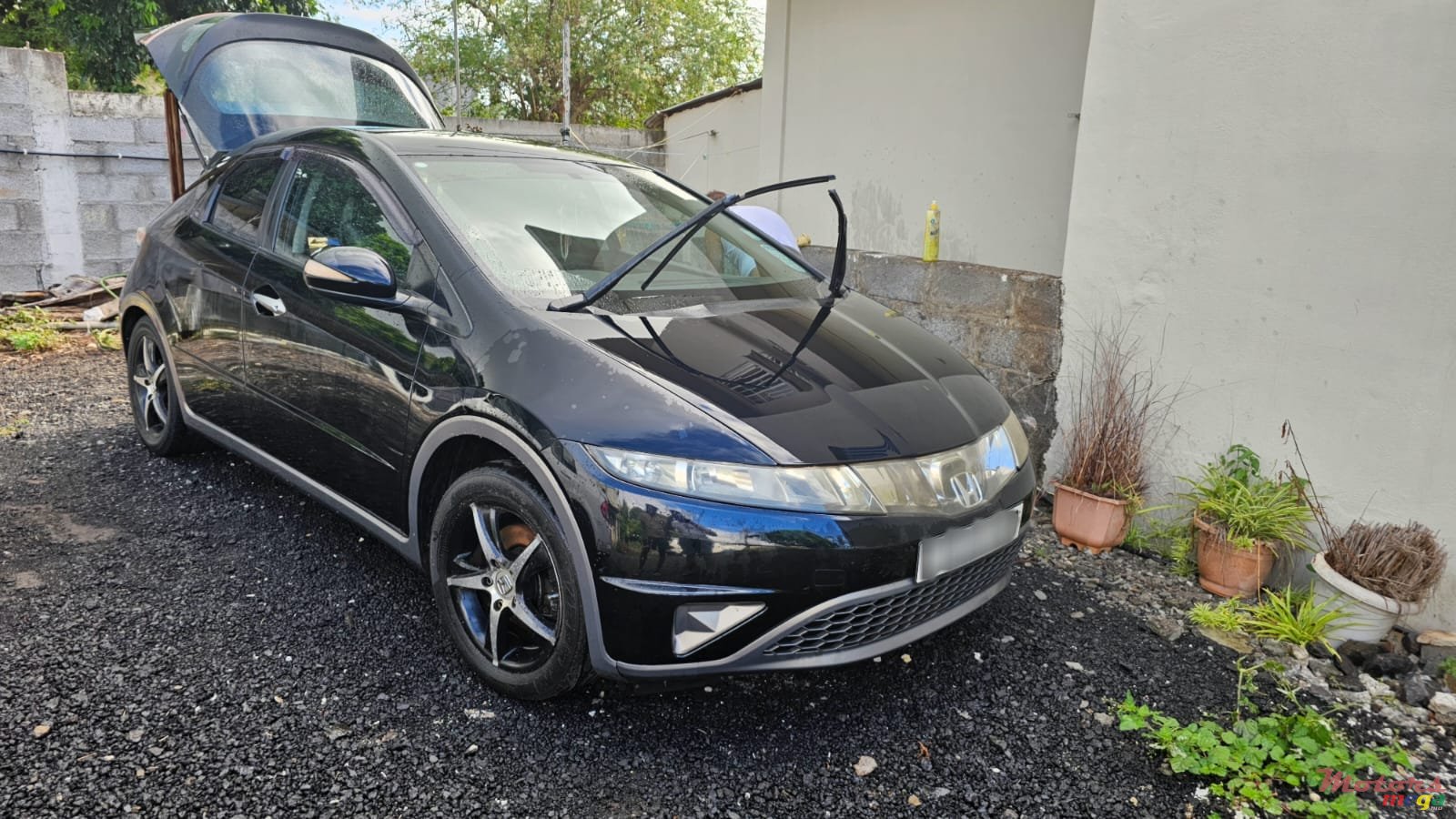 2008' Honda Civic photo #4