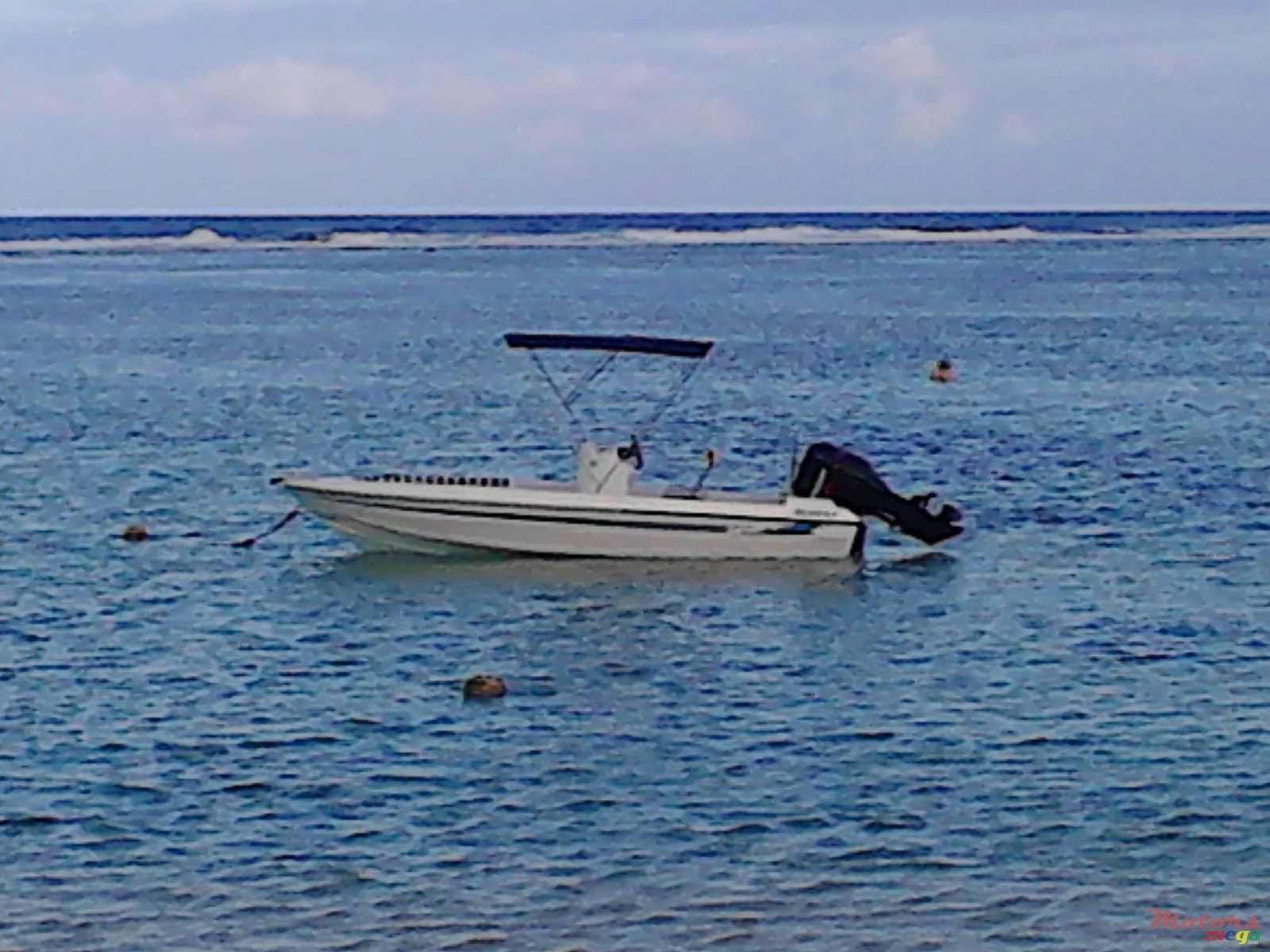 1986' Tremlett photo #1