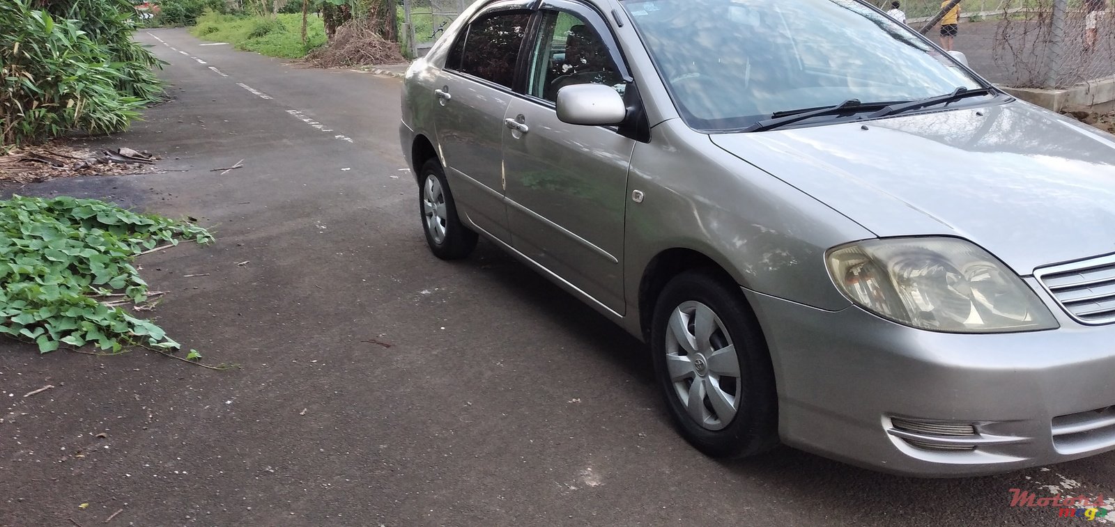 2003' Toyota Corolla photo #1