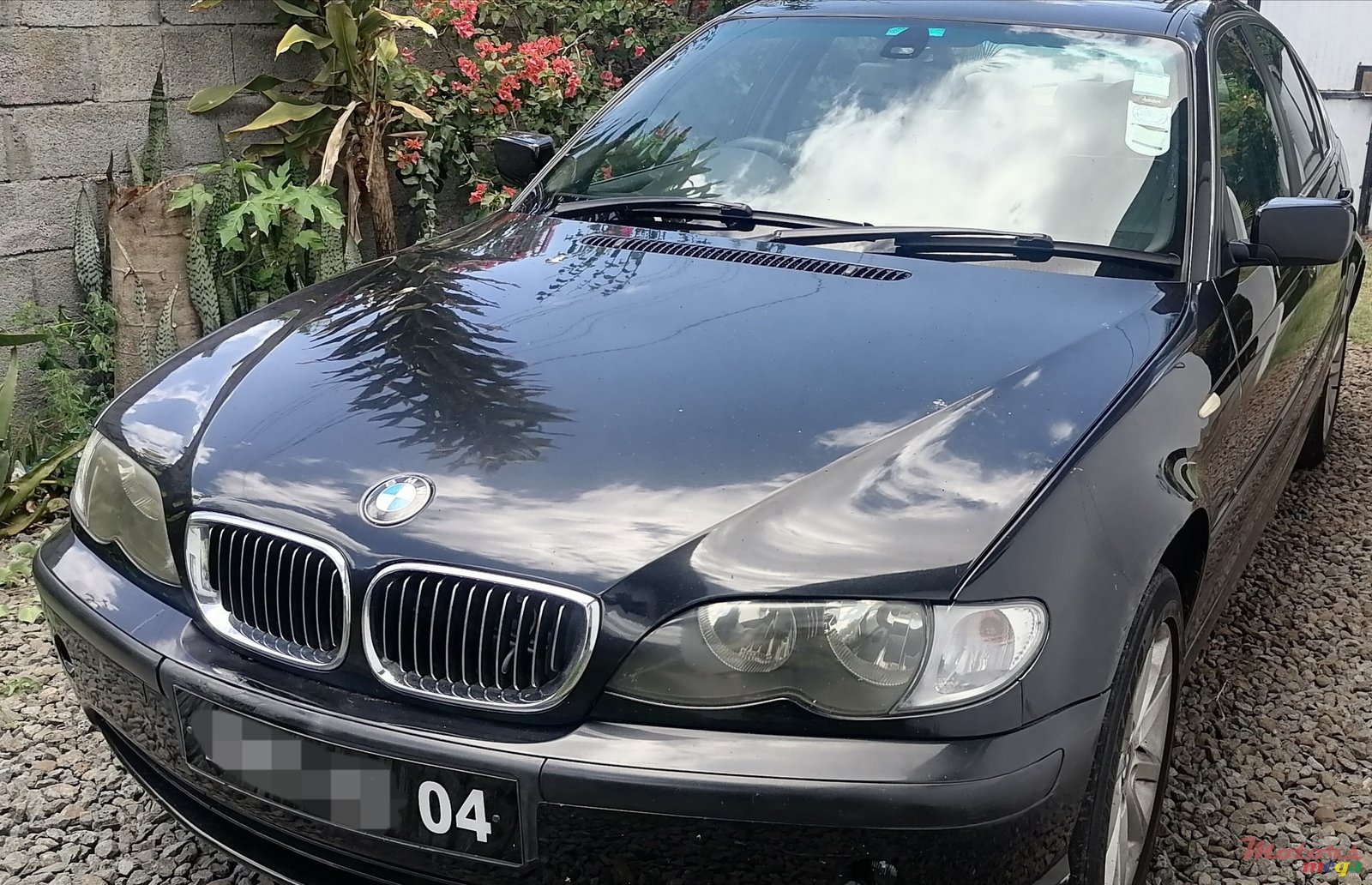 2004' BMW 3 Series Compact photo #6