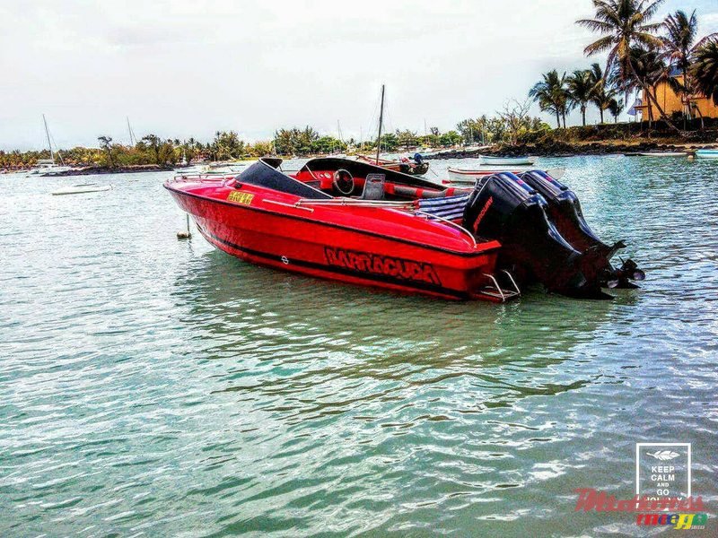 2001' ProCraft photo #1