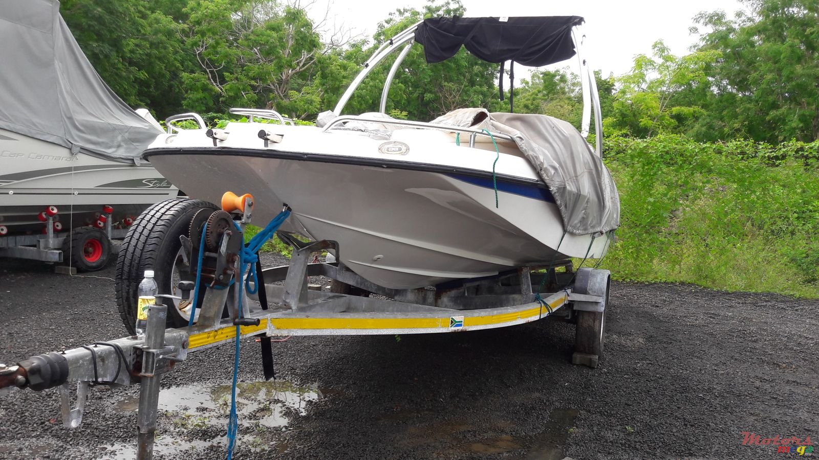 2014' Sunsation photo #1