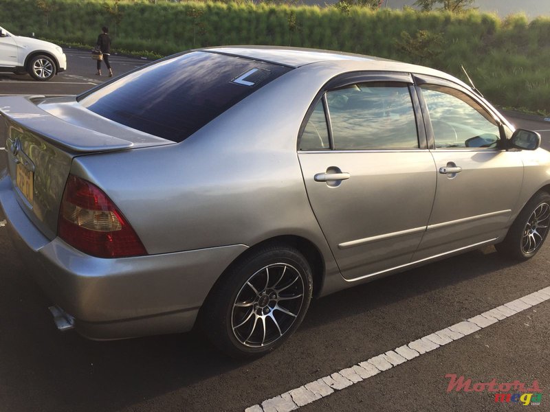 2001' Toyota Corolla NZE photo #1