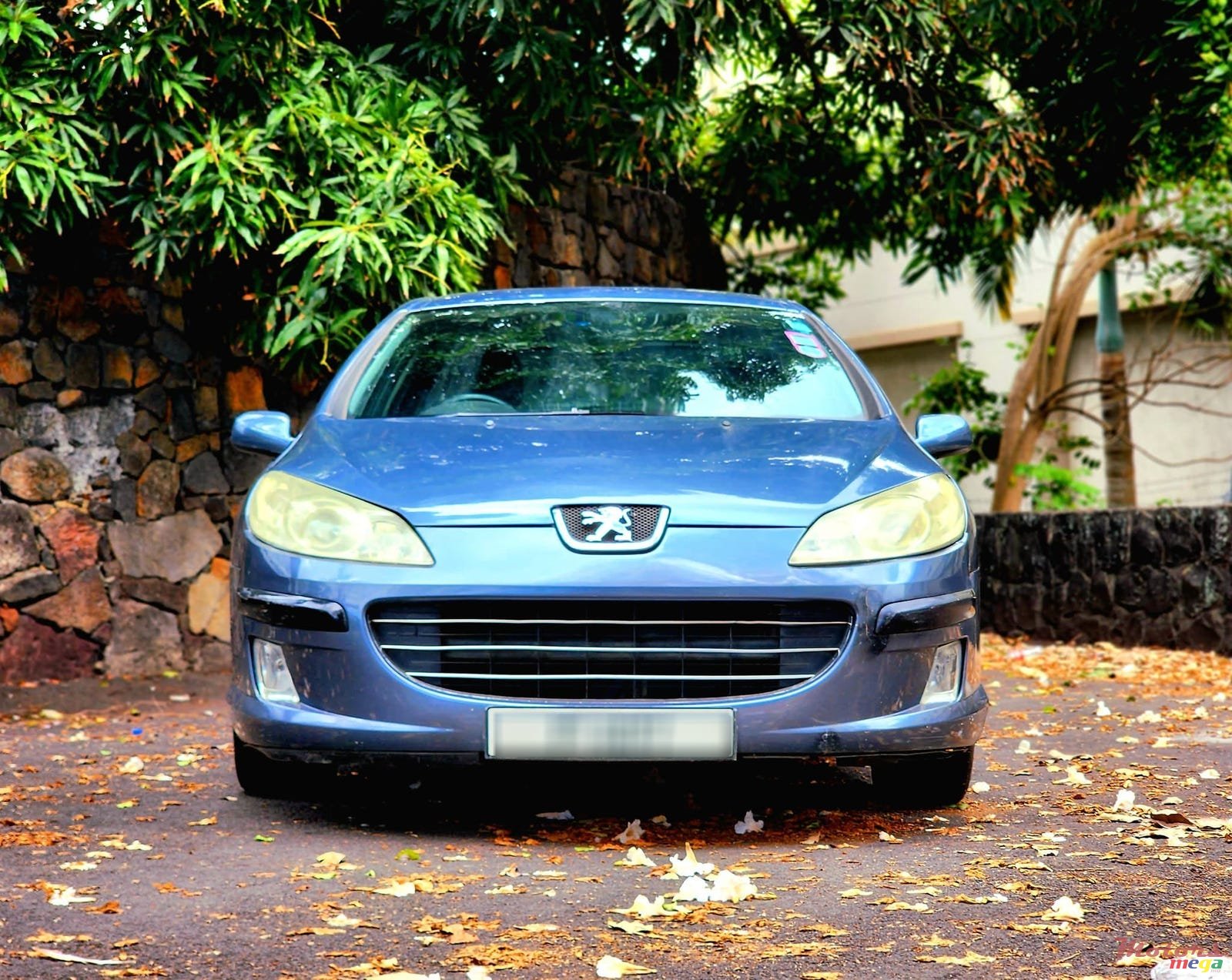 2008' Peugeot 407 photo #1