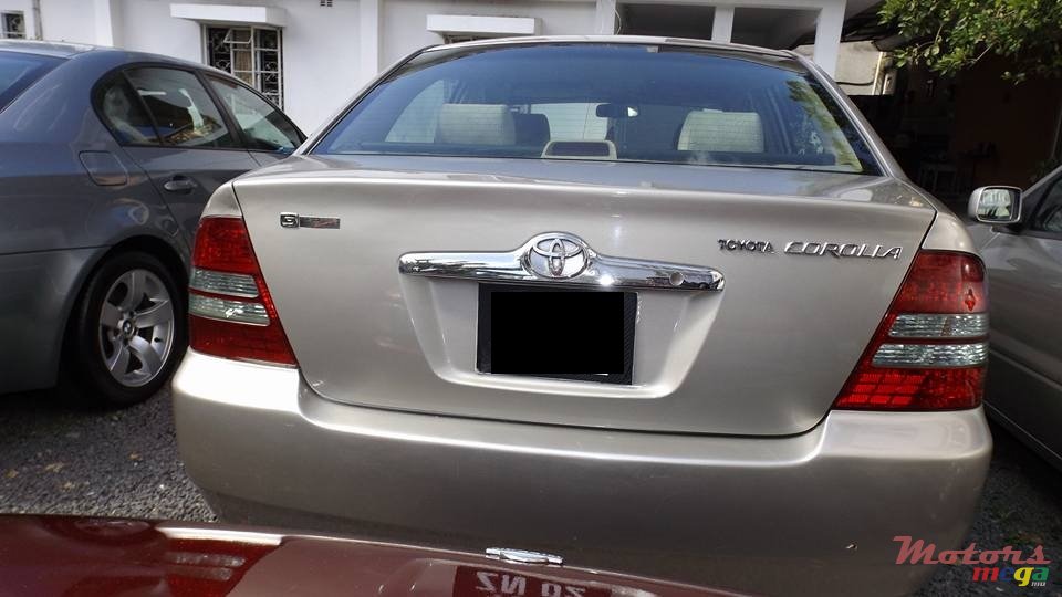 2002' Toyota Corolla NZE photo #4