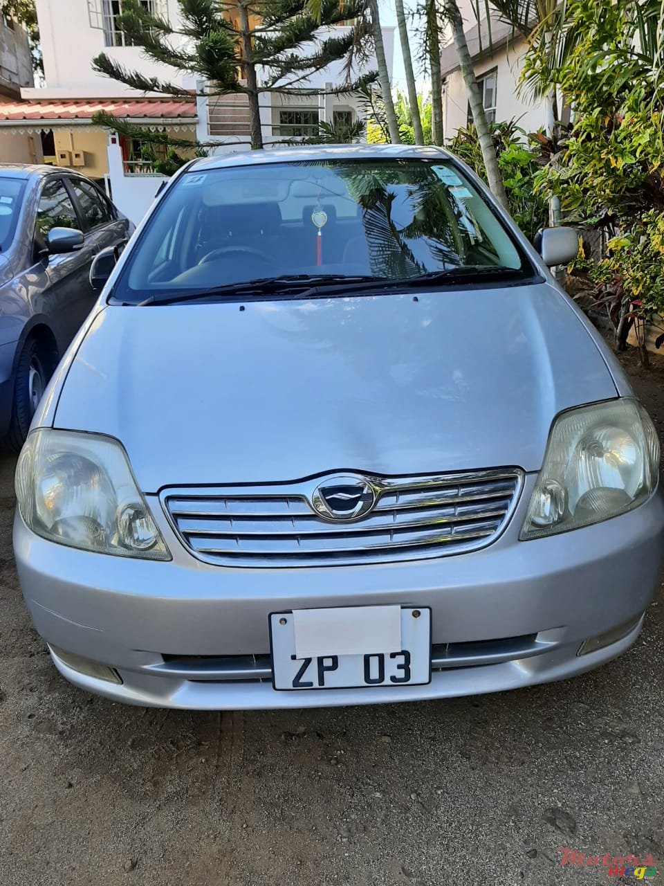 2003' Toyota Corolla photo #1