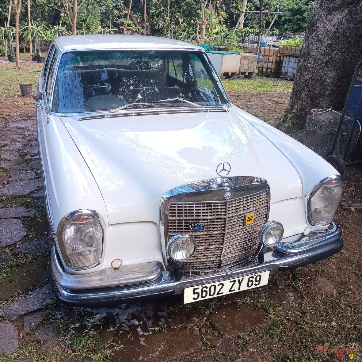 1970' Mercedes-Benz S 280 photo #1