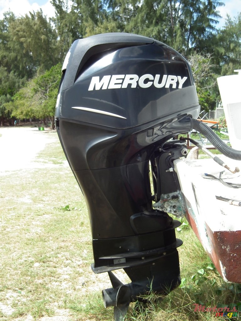 2011' Mercury photo #1