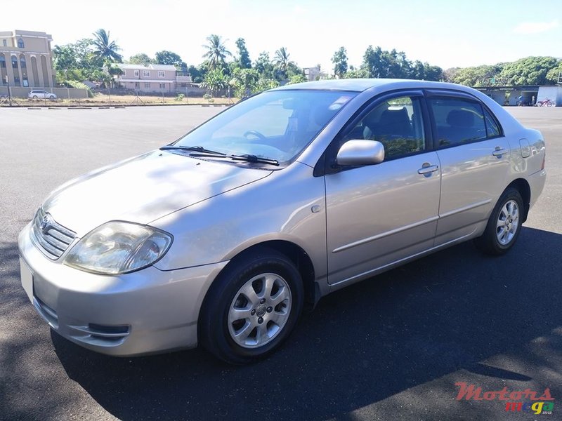 2002' Toyota Corolla NZE photo #5