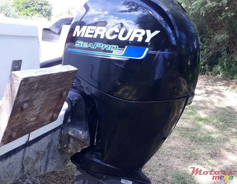 2016' Mercury SeaPro photo #2