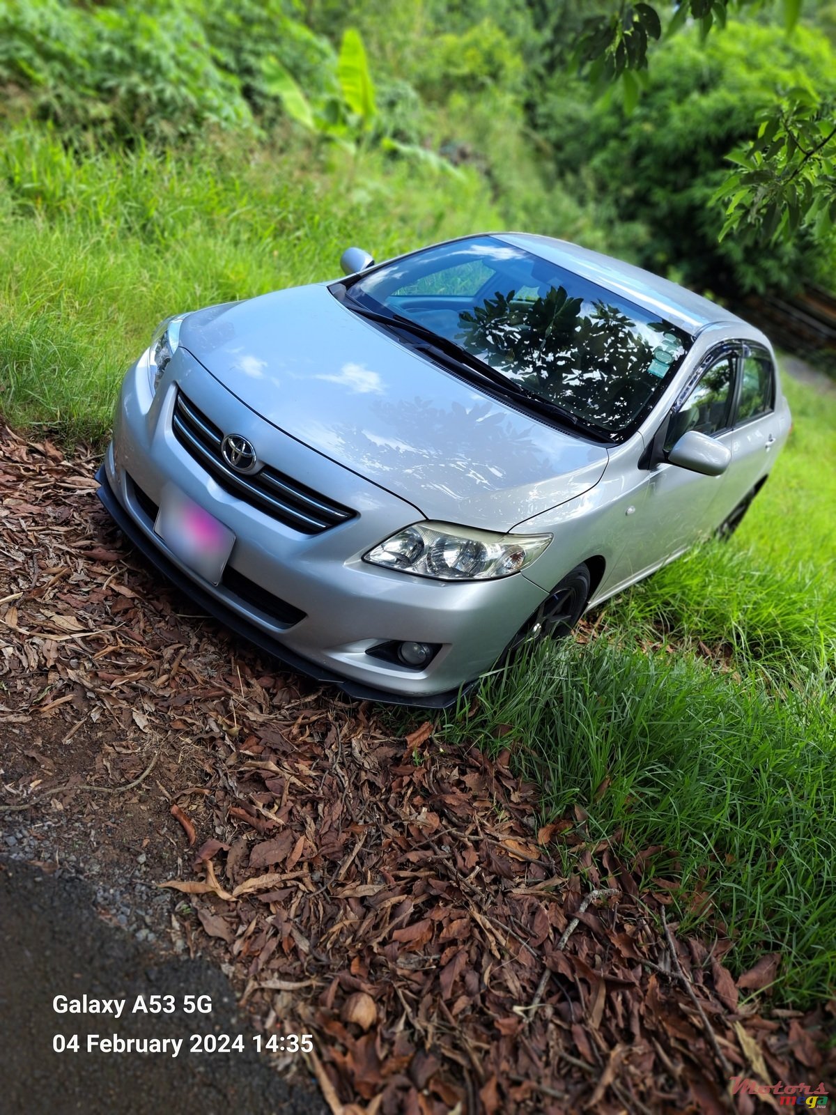 2010' Toyota Corolla photo #2
