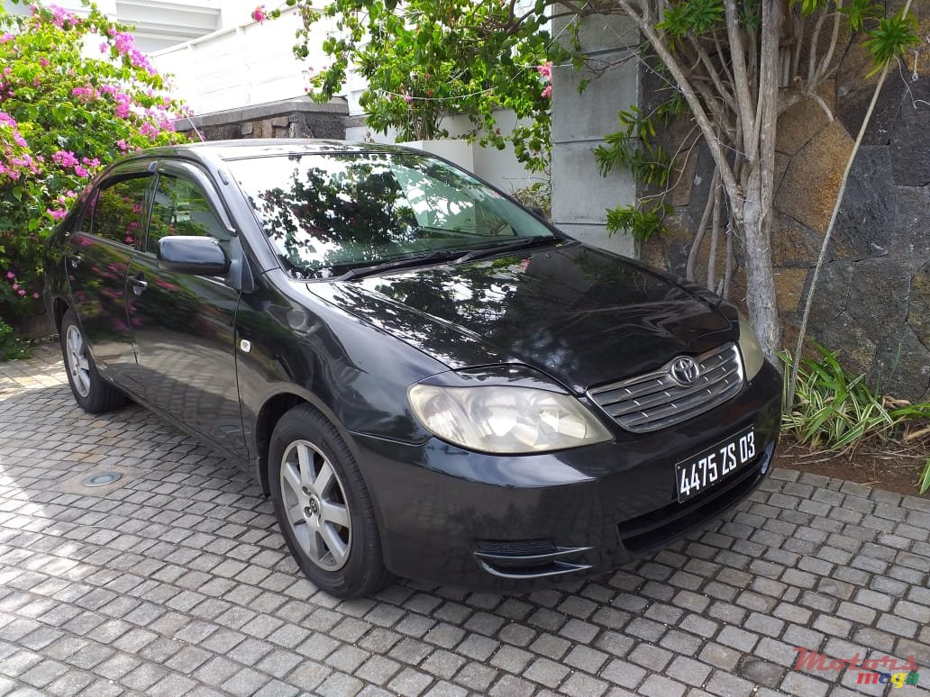 2003' Toyota Corolla NZE photo #1