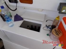 2002' Custom catamaran Kelsall 50 footer photo #4