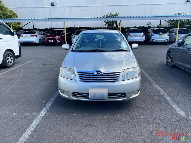 2004' Toyota Corolla NZE photo #1