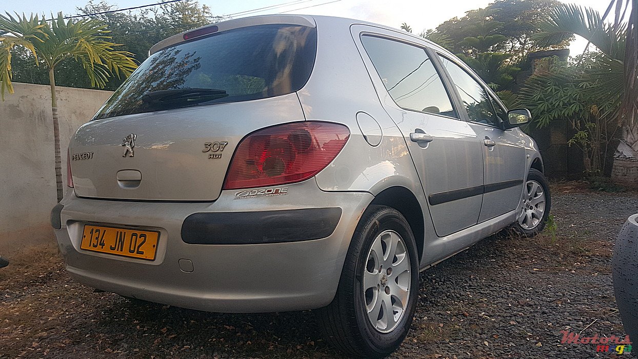 2002' Peugeot 307 photo #1