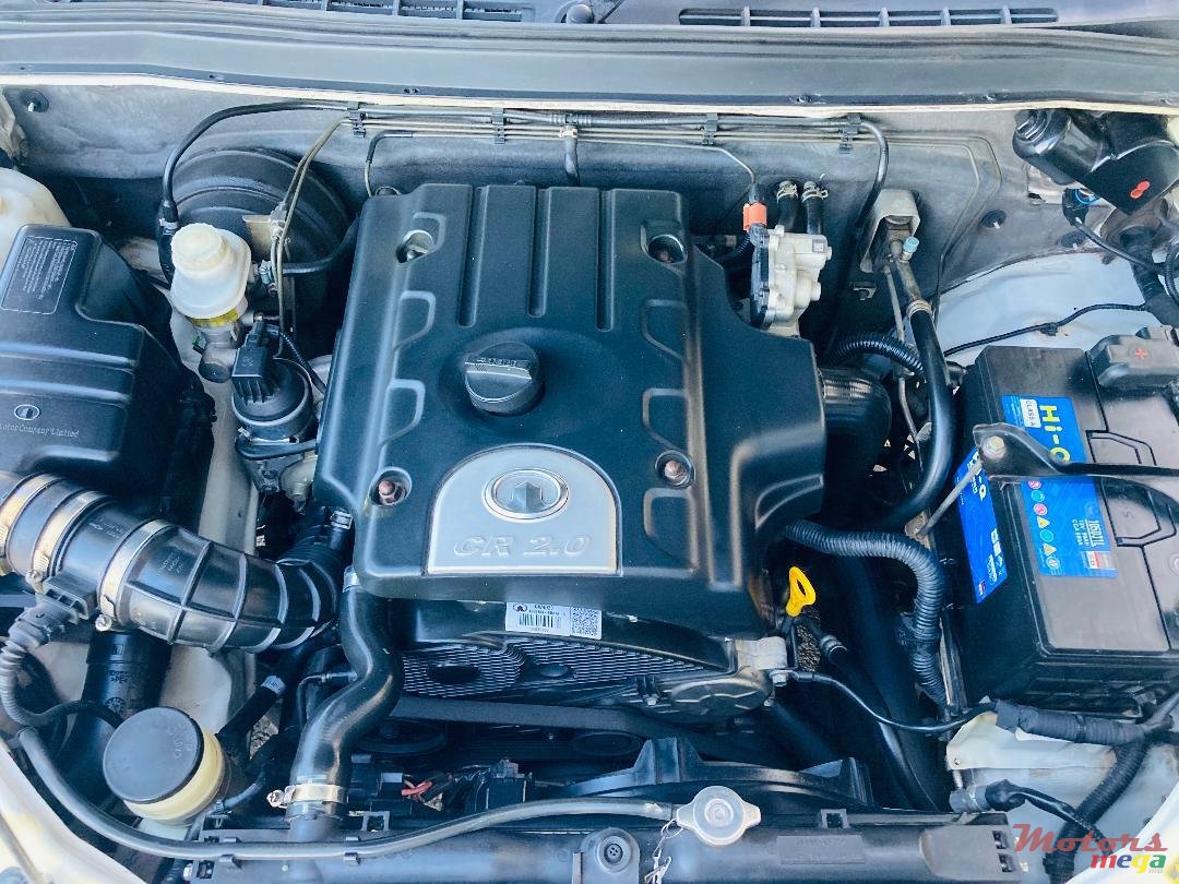 2015' GWM Steed photo #6