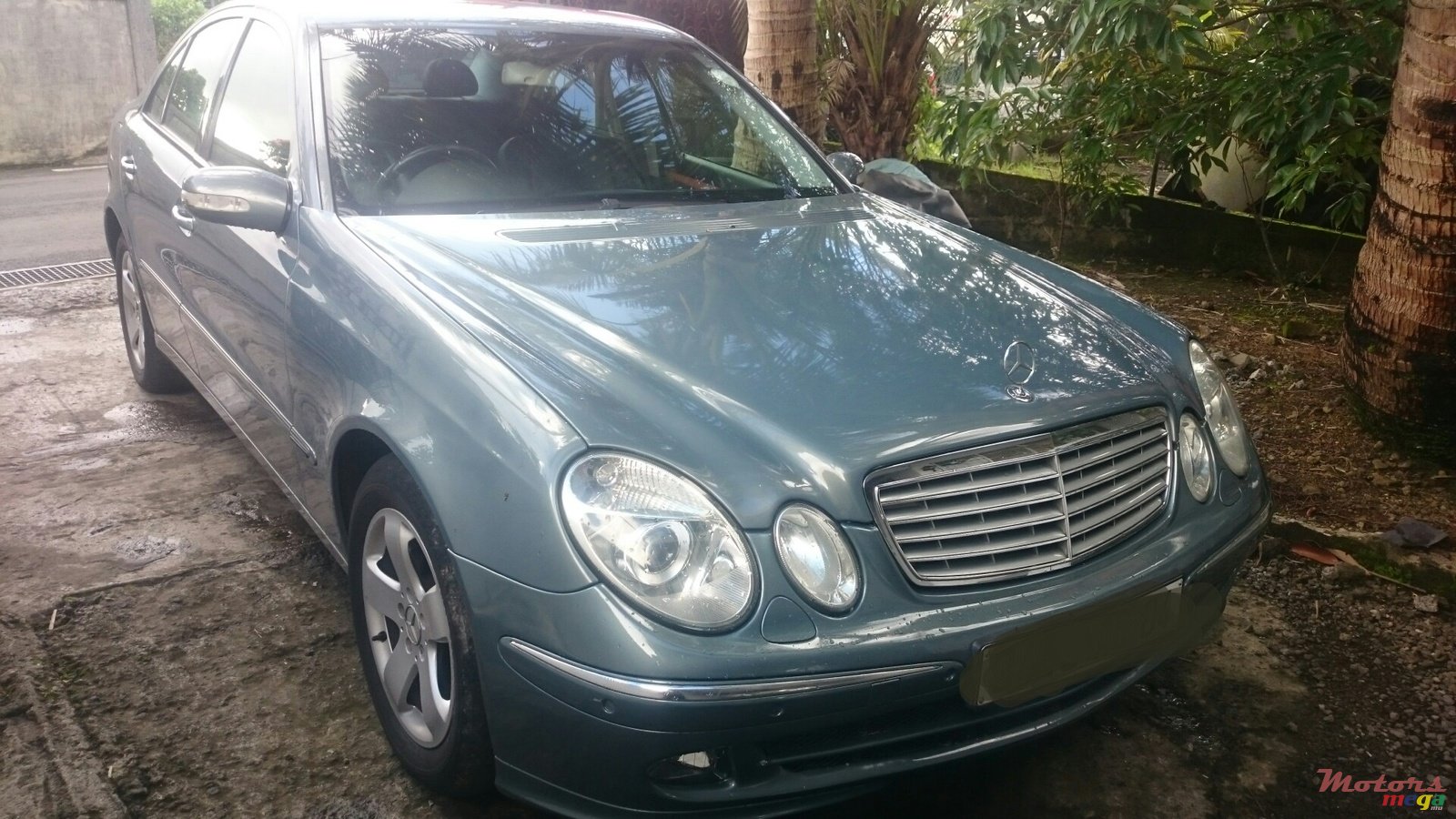 2004' Mercedes-Benz E-Class photo #2