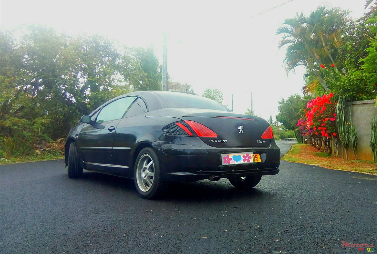 2006' Peugeot 307 CC photo #5