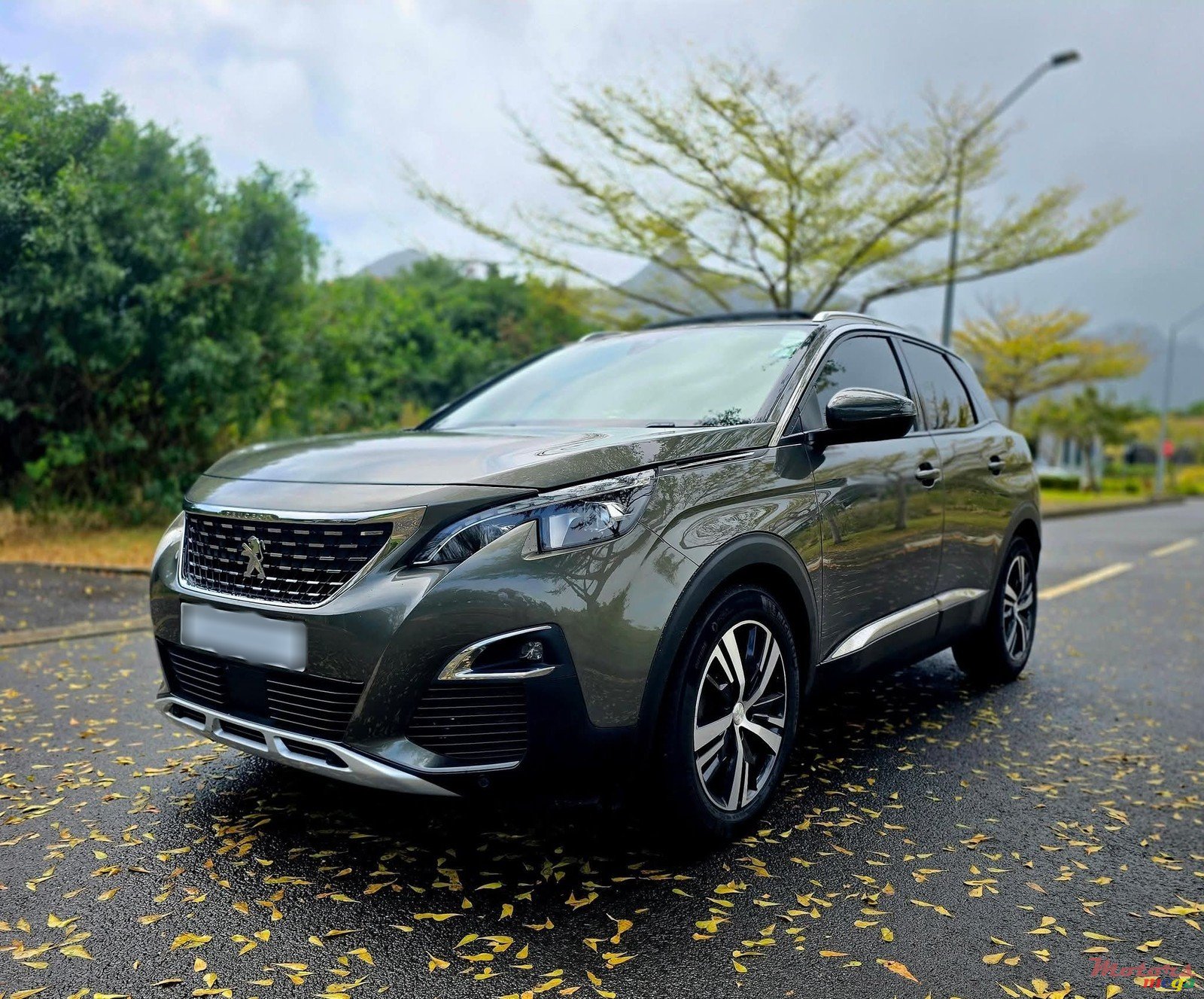 2018' Peugeot 3008 photo #2