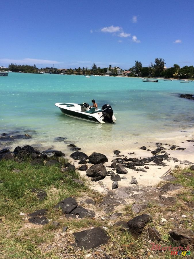 2009' Cobra photo #2