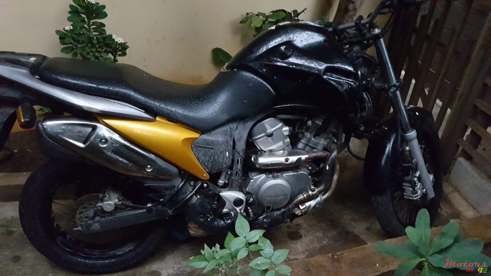 2009' Honda photo #3