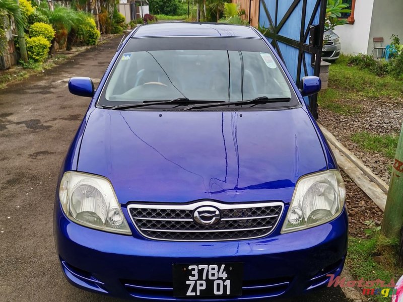 2001' Toyota Corolla 1NZ141 photo #2