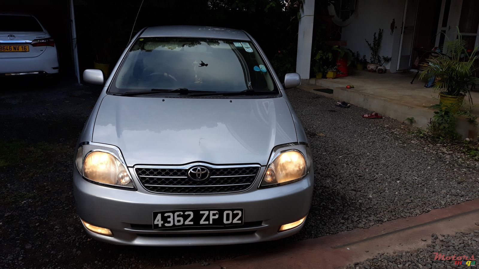 2002' Toyota Corolla photo #1