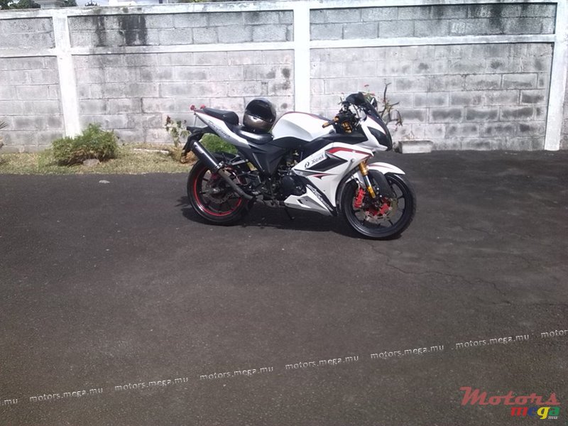 2013' Yamaha photo #1