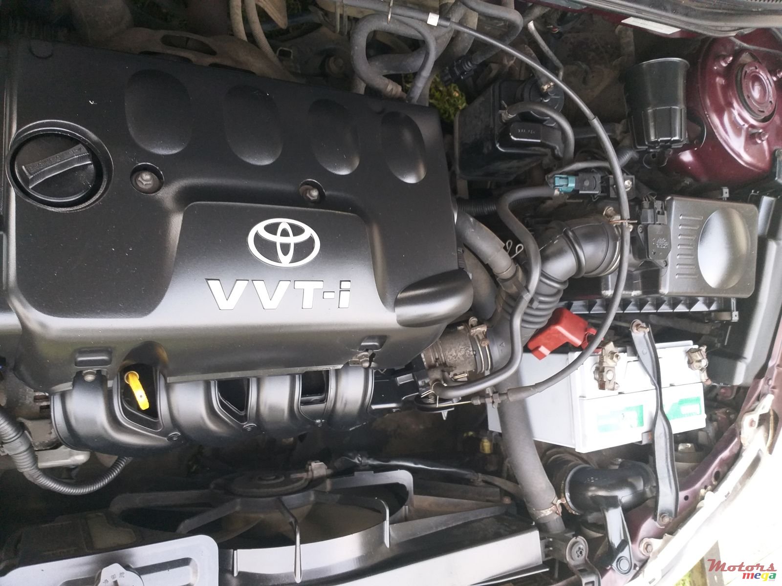 2003' Toyota Corolla photo #4