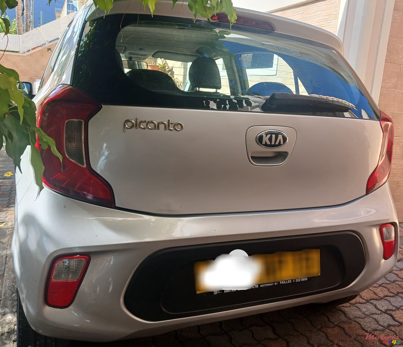 2019' Kia Picanto photo #5