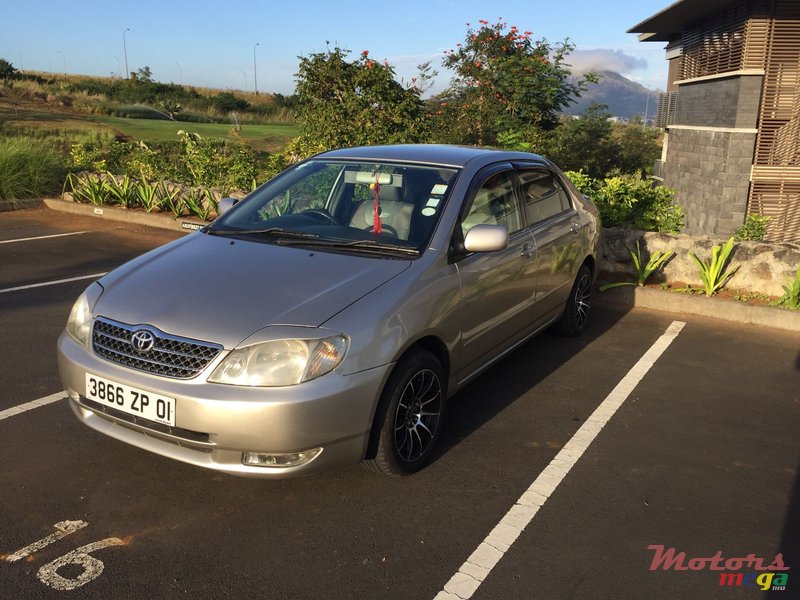 2001' Toyota Corolla NZE photo #3