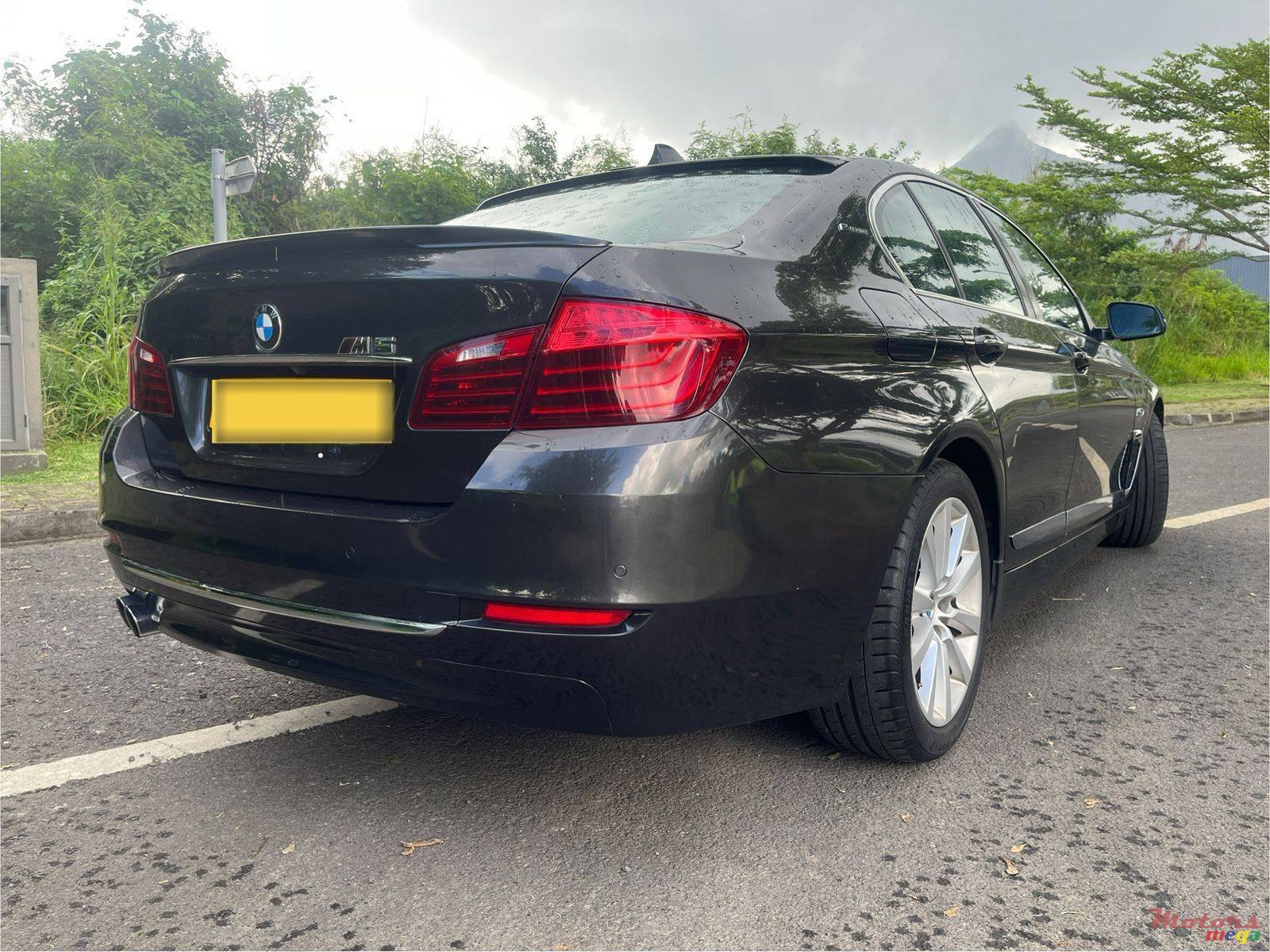 2014' BMW 520 photo #3