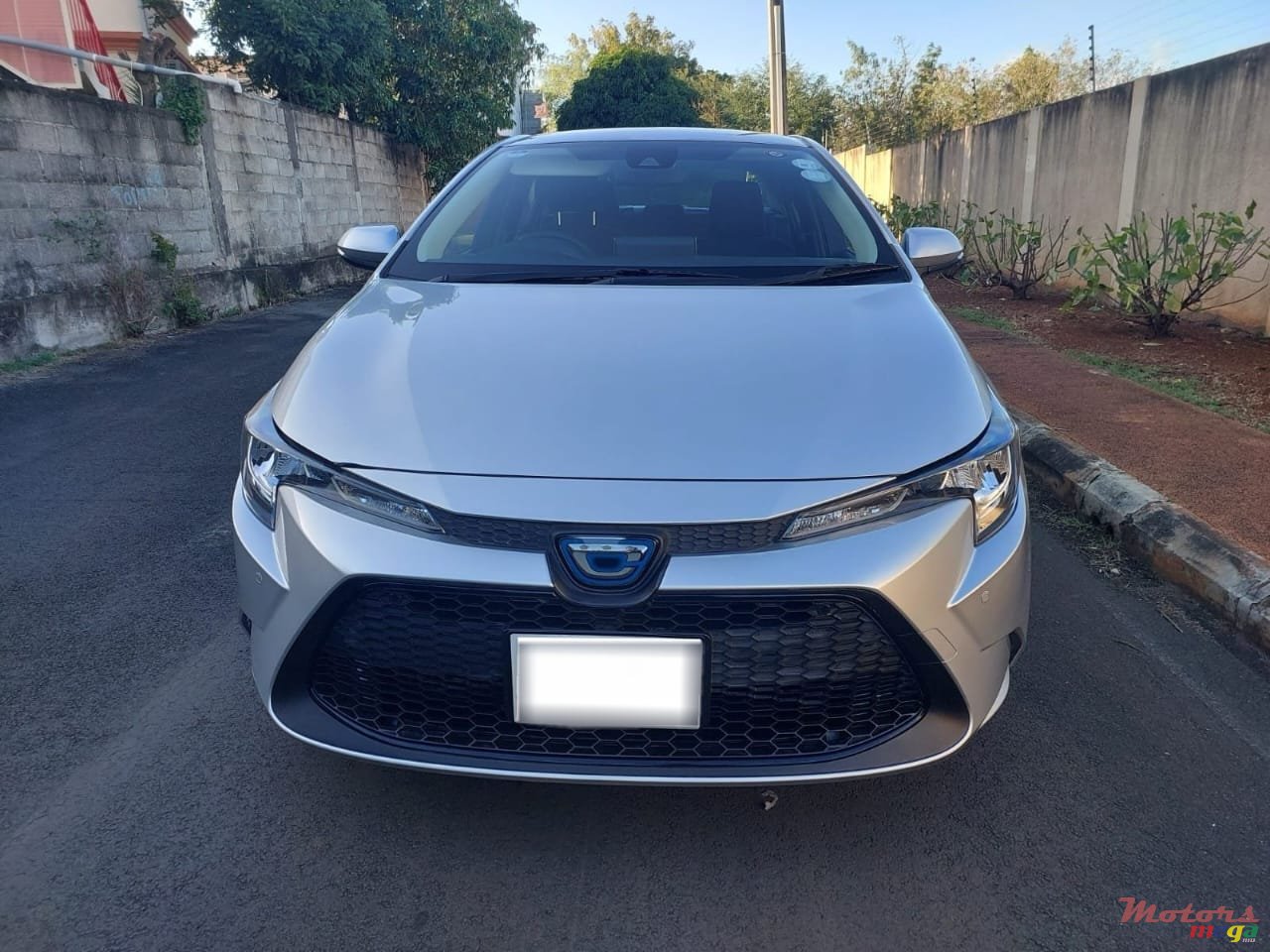 2021' Toyota Corolla photo #1