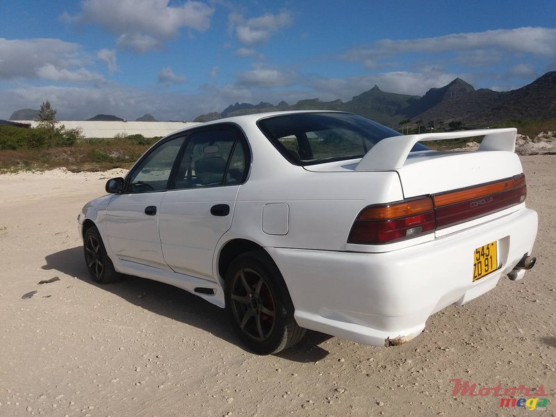 1991' Toyota Corolla EE101 photo #4