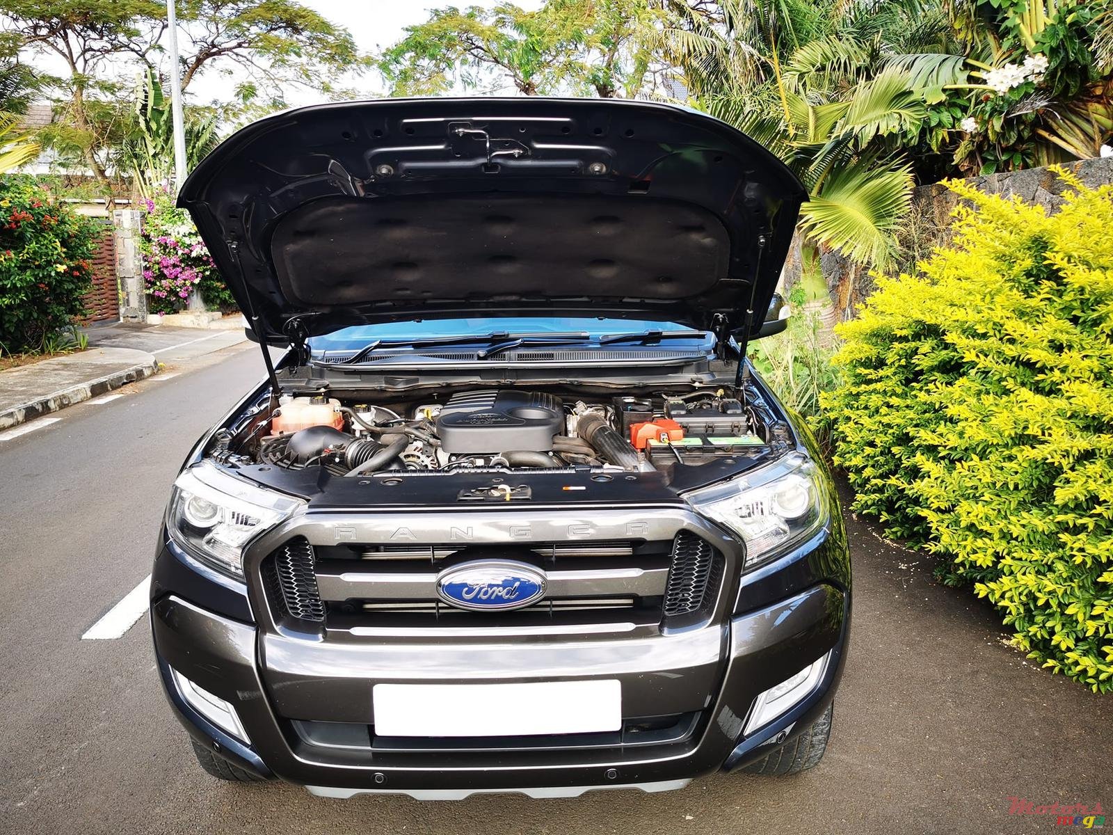 2018' Ford Ranger Wildtrack photo #7