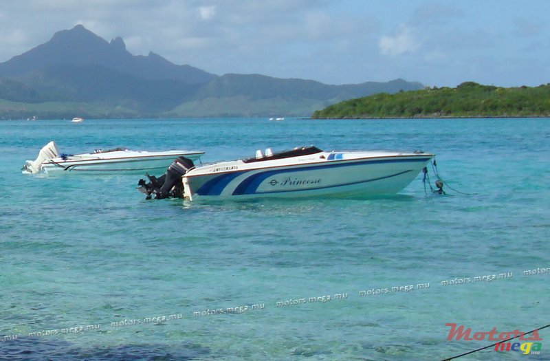 2012' Princess Resicraft 21 photo #1