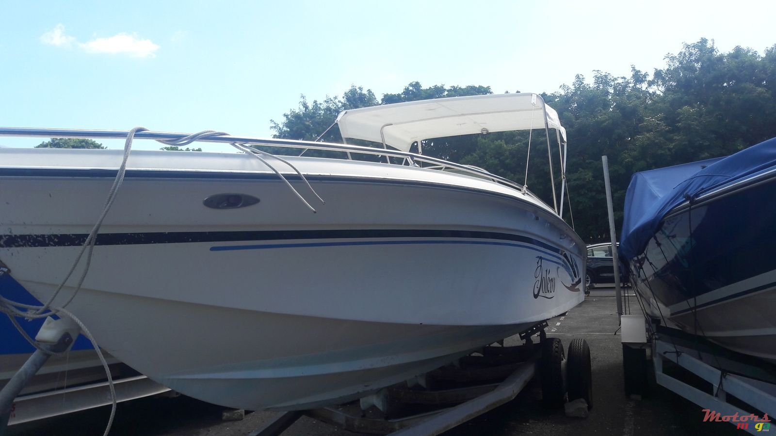 2006' Cobra photo #1