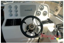 2016' Cobra photo #2